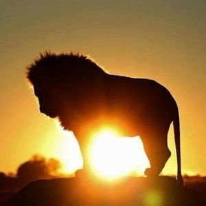 Meet your Posher, Marilyn